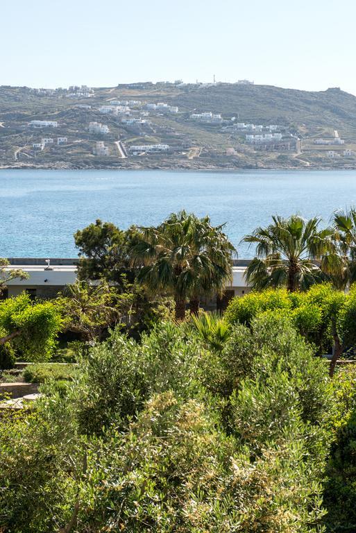 Orpheas Rooms Mykonos Town エクステリア 写真